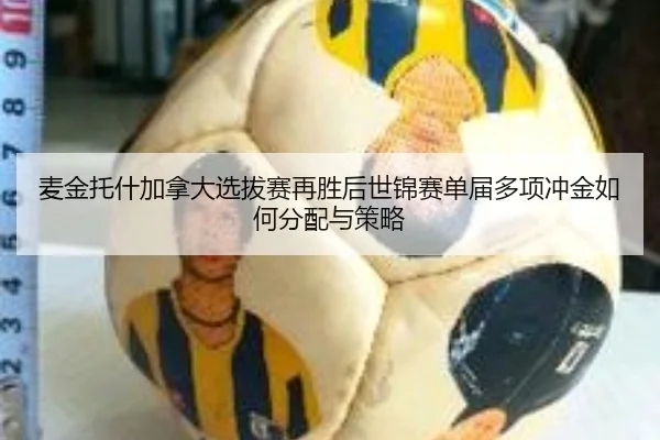 mai-jin-tuo-shen-jia-na-da-xuan-ba-sai-zai-sheng-hou-shi-jin-sai-dan-jie-duo-xiang-chong-jin-ru-he-fen-pei-yu-ce-lve-2-712.jpg